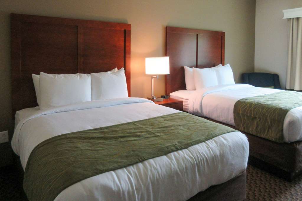 Comfort Inn & Suites Florence Habitación foto